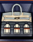 Hermes Birkin 20 Faubourg Rainy Days *BRAND NEW* Collector Item